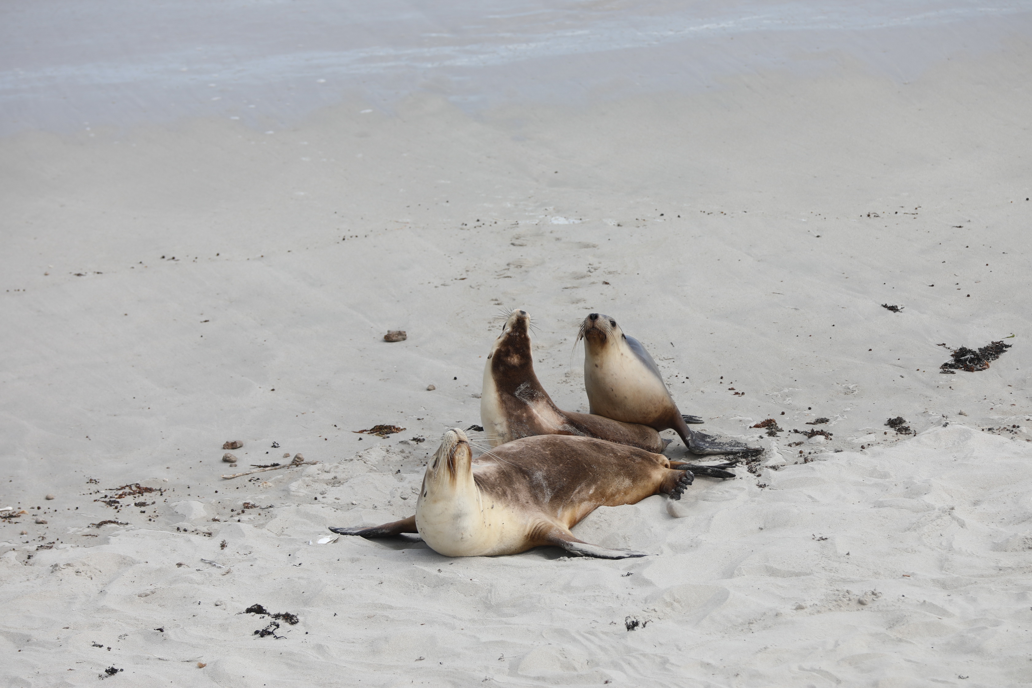 2019 09 29 14 10 42 Canon EOS 5D Mark IV 0048